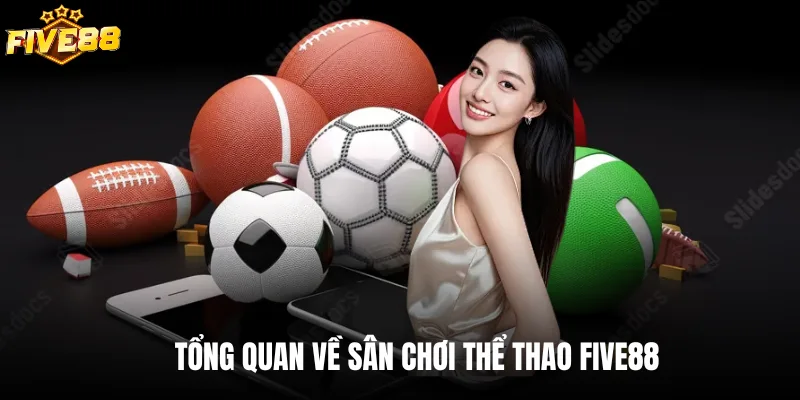 Tổng quan về sân chơi thể thao Five88